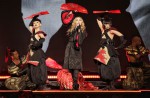Madonna's gig doesn't live up to expectations, say local fans and celebs  - 16