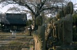 Famous sakura trees bloom in abandoned Fukushima town - 12
