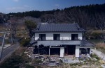 Famous sakura trees bloom in abandoned Fukushima town - 36
