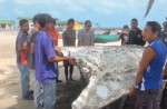 Suspected MH370 'plane debris' washes up on Thailand beach    - 10