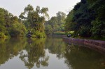 Beauty of the Botanic Gardens - 7