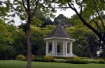 Beauty of the Botanic Gardens - 9