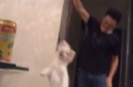 Shocking video shows guy dangling dog by its neck on leash  - 6