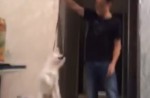 Shocking video shows guy dangling dog by its neck on leash  - 8