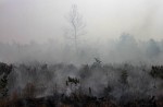 Indonesia's Riau declares State of Emergency over haze - 6
