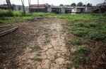 Drought hits hard in Thailand - 3