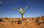 Extreme weather around the world: Drought in Africa - 1