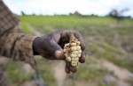 Extreme weather around the world: Drought in Africa - 3