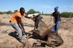 Extreme weather around the world: Drought in Africa - 5