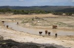 Extreme weather around the world: Drought in Africa - 15