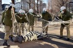 Tokyo zoo stages 'zebra escape' - 1