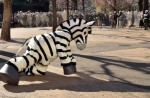 Tokyo zoo stages 'zebra escape' - 2