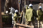 Tokyo zoo stages 'zebra escape' - 8