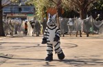 Tokyo zoo stages 'zebra escape' - 12