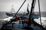 Japan keeps hunting whales - 2