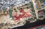Japan keeps hunting whales - 10