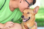 Volunteers help care for dogs at animal shelters - 4