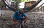 Penguin visits rescuer in Brazil every year - 2