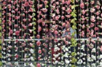 Singapore sets Guinness World Record with largest floral chandelier - 7