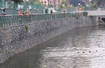 Otter 'hurt' by angler's hook - 9