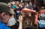 Chinese pole dancers pose as stray dogs to protest dog meat festival - 23