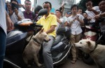 Chinese pole dancers pose as stray dogs to protest dog meat festival - 26