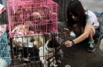 Chinese pole dancers pose as stray dogs to protest dog meat festival - 27