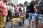 Chinese pole dancers pose as stray dogs to protest dog meat festival - 68