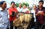 Chinese pole dancers pose as stray dogs to protest dog meat festival - 71