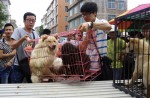 Chinese pole dancers pose as stray dogs to protest dog meat festival - 70