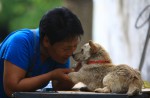 Chinese pole dancers pose as stray dogs to protest dog meat festival - 75