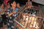 Chinese pole dancers pose as stray dogs to protest dog meat festival - 92