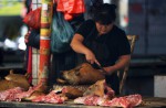 Chinese pole dancers pose as stray dogs to protest dog meat festival - 93