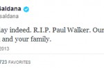 Fast And Furious star Paul Walker dies in car crash: Reports - 43