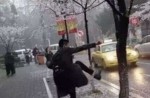 Chinese tourists kick and climb cherry blossom trees to snap photos  - 2