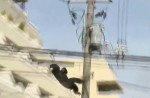 Dramatic moments before runaway chimp falls from wires - 12