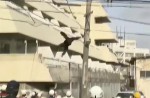 Dramatic moments before runaway chimp falls from wires - 14