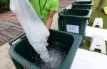 Rugb Singapore Sevens players use 720kg of ice daily - 3