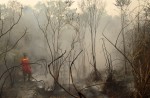 Schools in Singapore shut as regional haze reaches unhealthy levels - 52