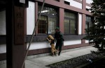 Blast at Yasukuni shrine in Japan - 7