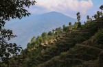 The thousand stars hotel in Nepal - 8