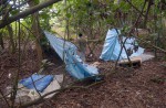 Makeshift 'jungle brothels' found near Punggol park - 8