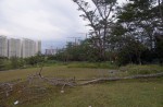 Makeshift 'jungle brothels' found near Punggol park - 10