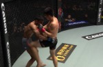 A peek into the lives of Singapore's rising MMA stars - 5