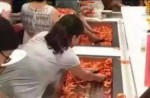 Chinese tourists in Thailand go prawn-crazy at buffet - 7