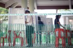 Singaporeans vote in Bukit Batok by-election - 8
