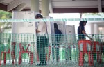 Singaporeans vote in Bukit Batok by-election - 32