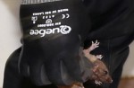 Rats living the 'high life' in Choa Chu Kang - 26