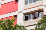 Woman tethers pigeons to her 5th storey window - 3