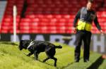 Man United EPL match at Old Trafford abandoned after security alert - 3